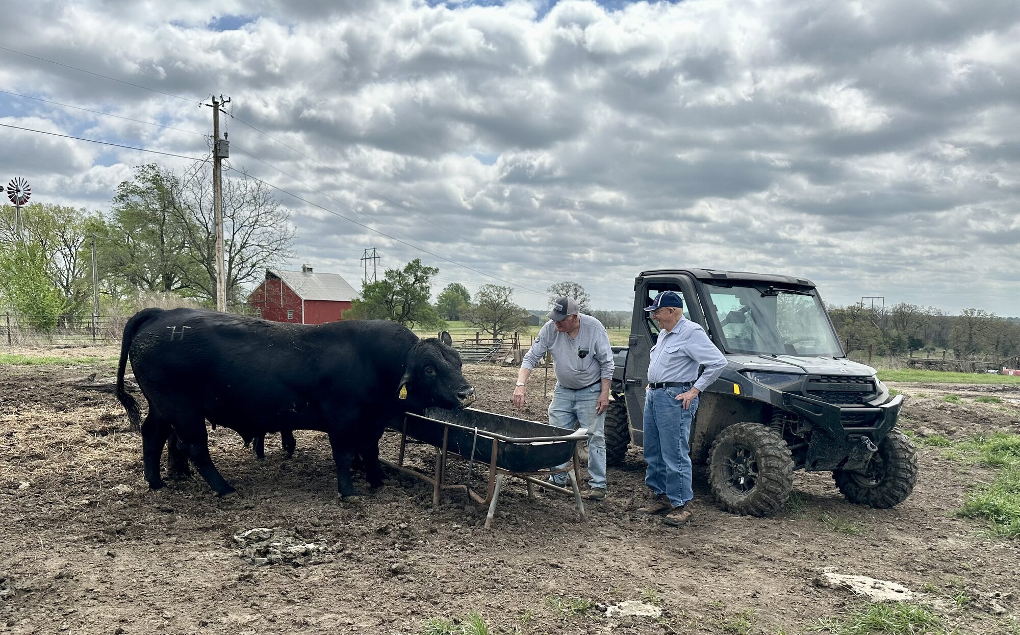 Roger Korenberg at a neighbor&rsquo;s cattle farm in Moniteau County, Missouri